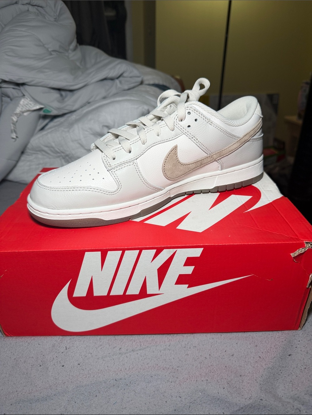 Nike Dunk Low Retro SE